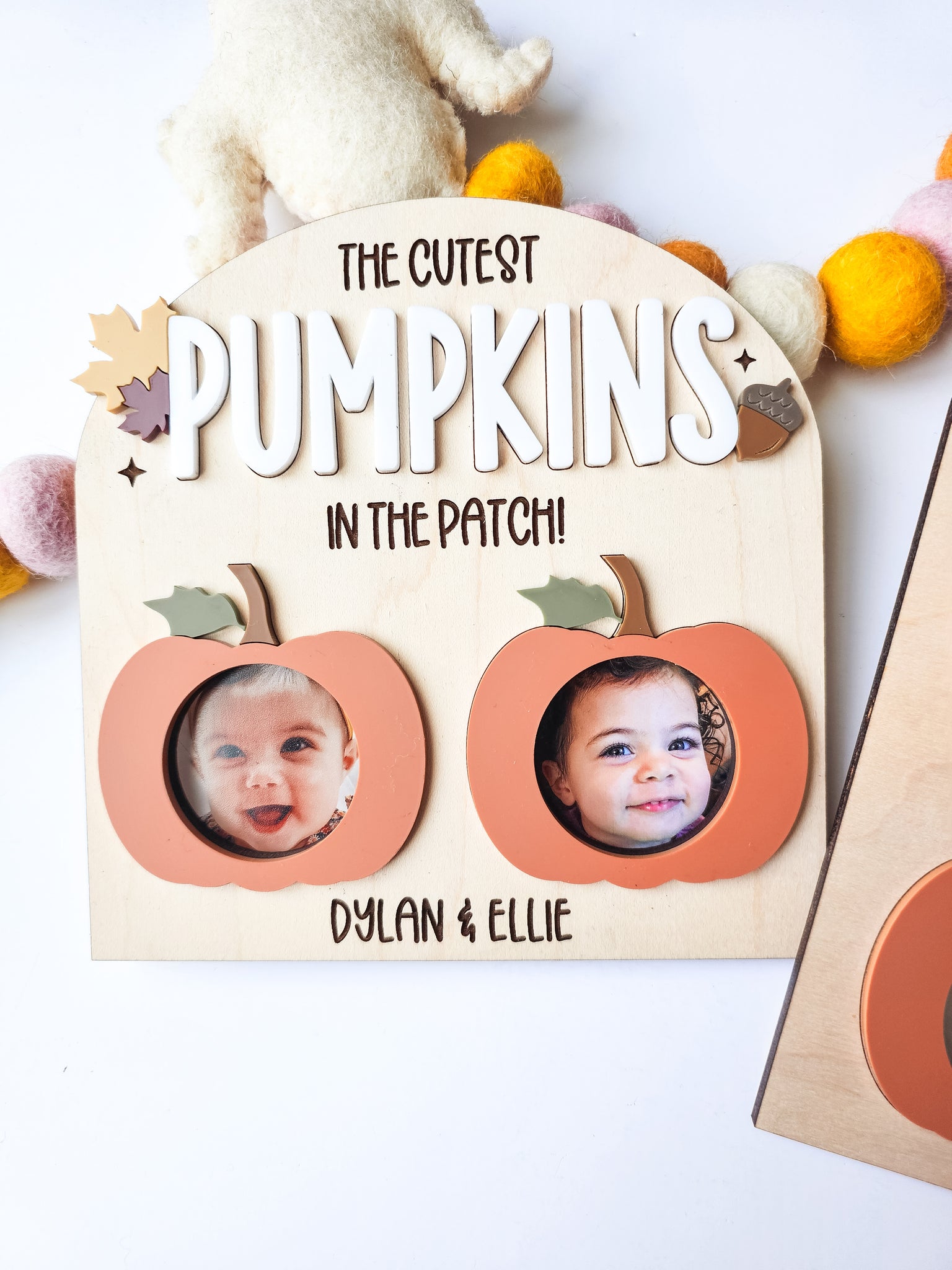 Pumpkin photo  shelf sitter